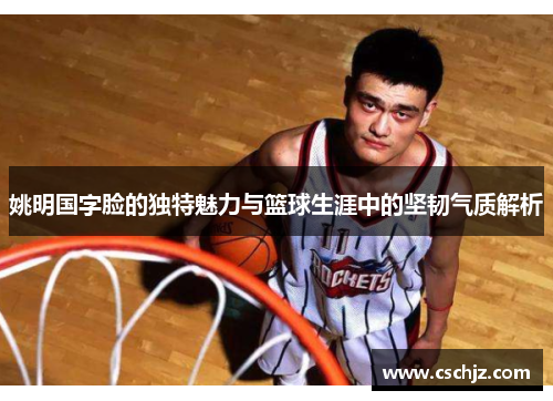 姚明国字脸的独特魅力与篮球生涯中的坚韧气质解析