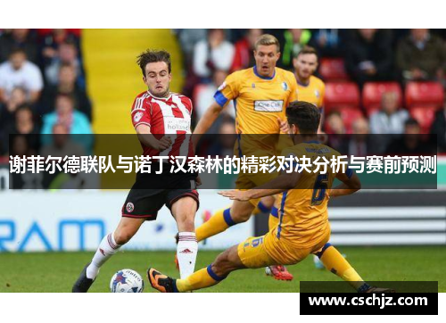 谢菲尔德联队与诺丁汉森林的精彩对决分析与赛前预测