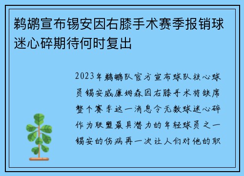 鹈鹕宣布锡安因右膝手术赛季报销球迷心碎期待何时复出